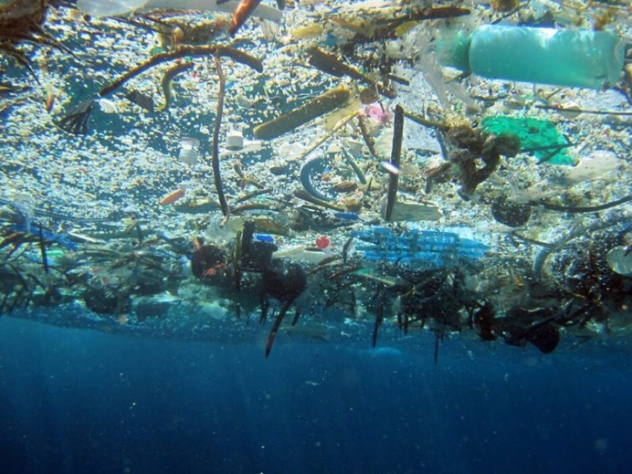 Great Pacific Garbage Patch