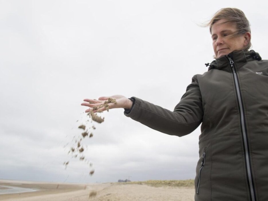 Water Ways: How The Dutch Are Building Coastal Protection For Less- With Nature's Help