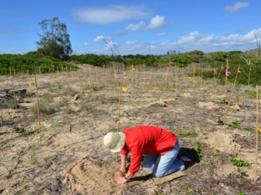 Habitat Restoration Isn'T Just For Professionals