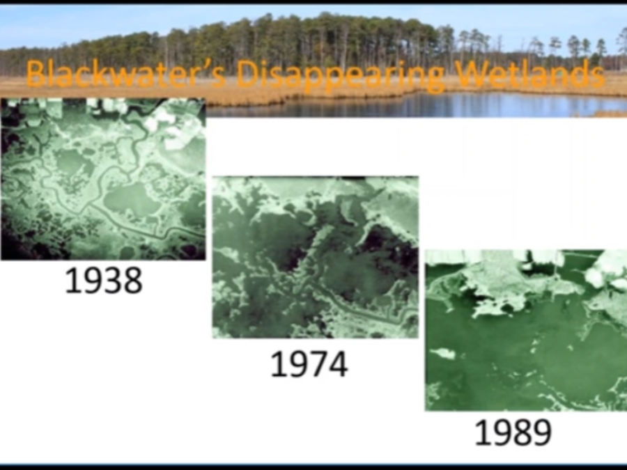 Using Sediment Enhancement To Build Tidal Marsh Resiliency