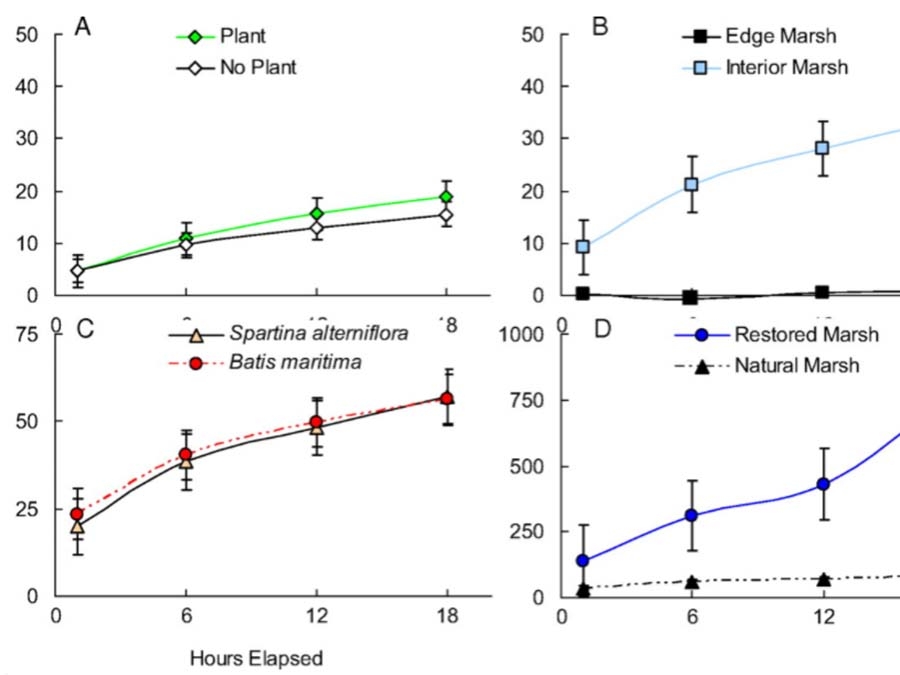 Erosion rates in various marsh sediment samples. (Source: Feagin et al.)