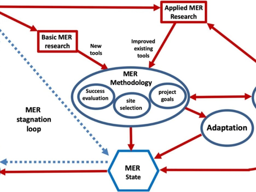 Challenges For Restoration Of Coastal Marine Ecosystems In The Anthropocene