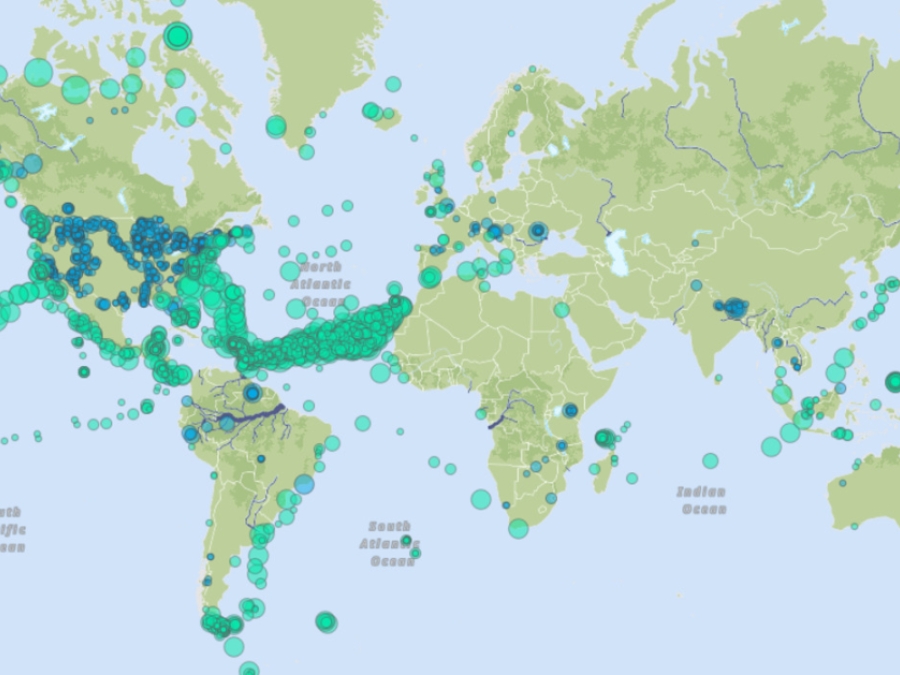 Global Microplastic Intiative