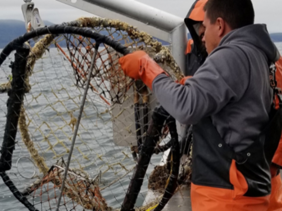 The Makah Tribe Meets The Challenge Of Marine Debris