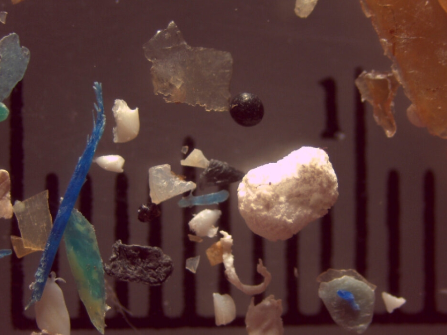 Microplastics In Our Nation's Waterways