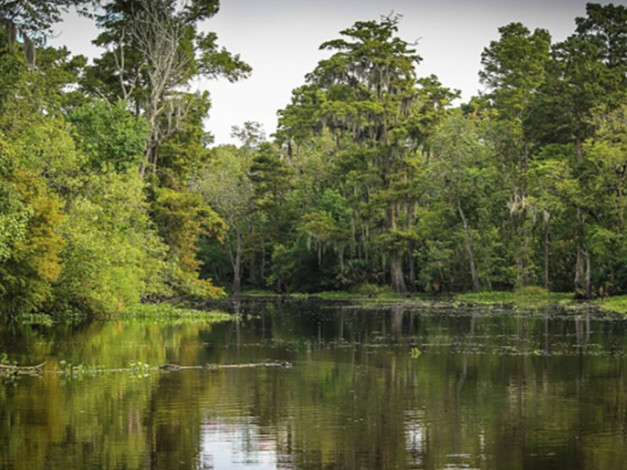 Louisiana Coastal Resilience Game