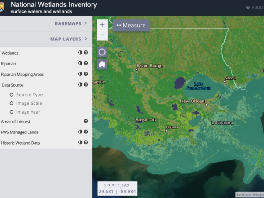 Wetlands Mapper