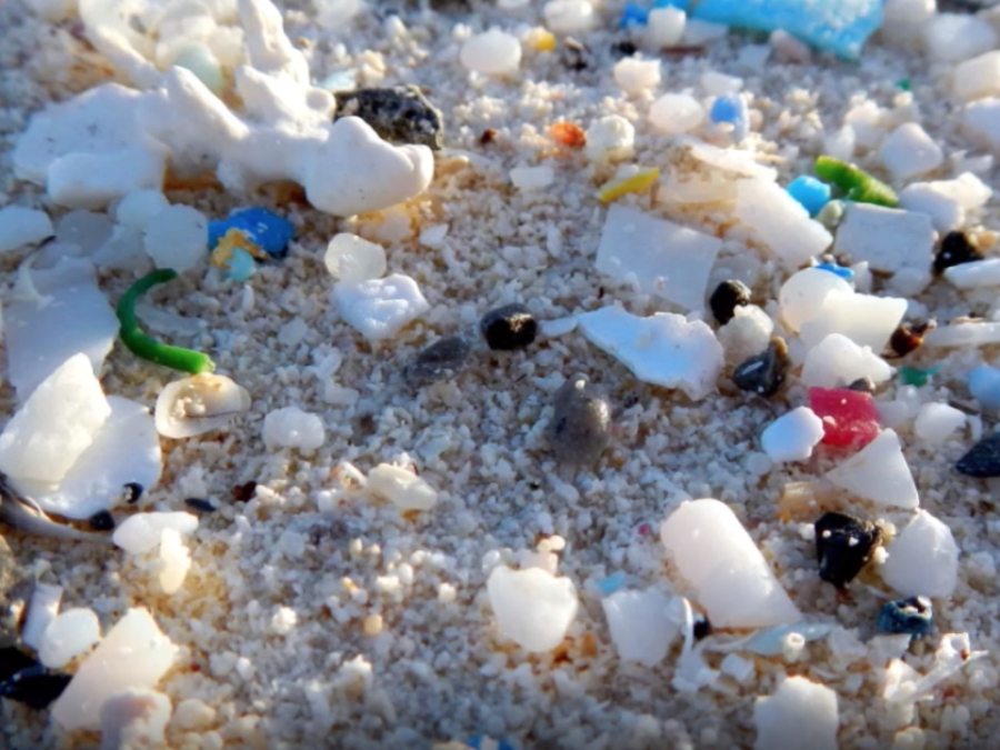 What Are Microplastics?