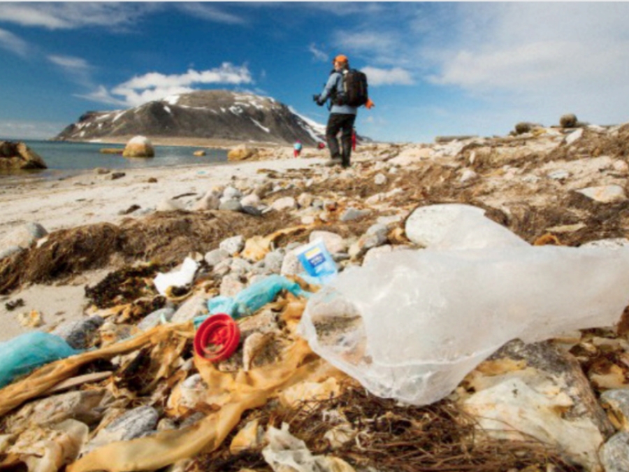 New Link In The Food Chain? Marine Plastic Polluion And Seafood Safety