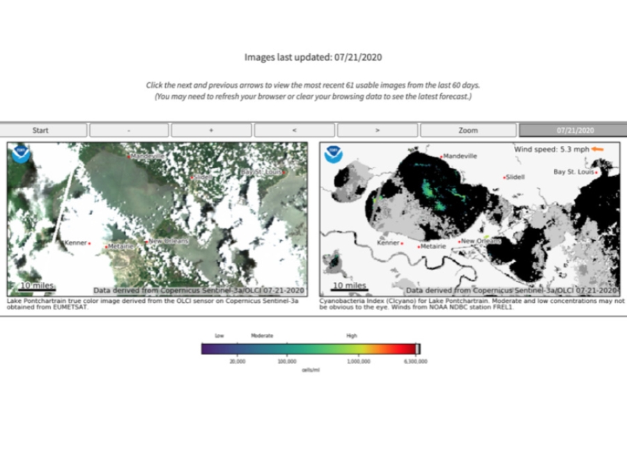 Harmful Algal Bloom Monitoring System