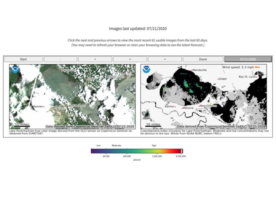 Harmful Algal Bloom Monitoring 