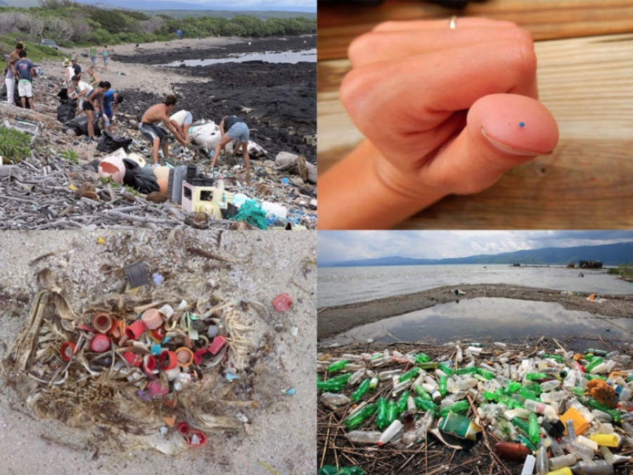 Storymap: Marine Debris In Coastal Parks