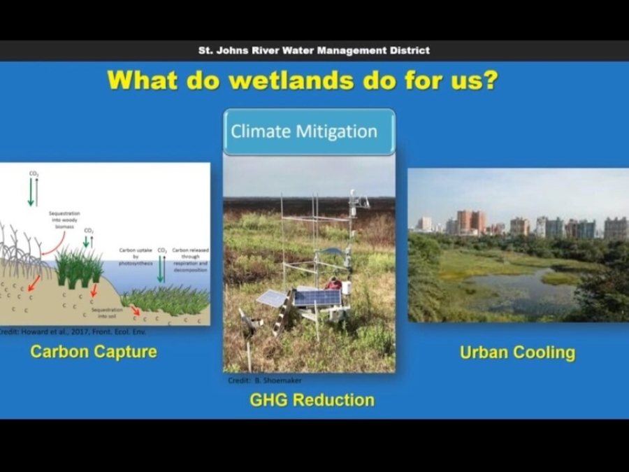 Why Worry About Wetlands? District Restoration Projects Explained