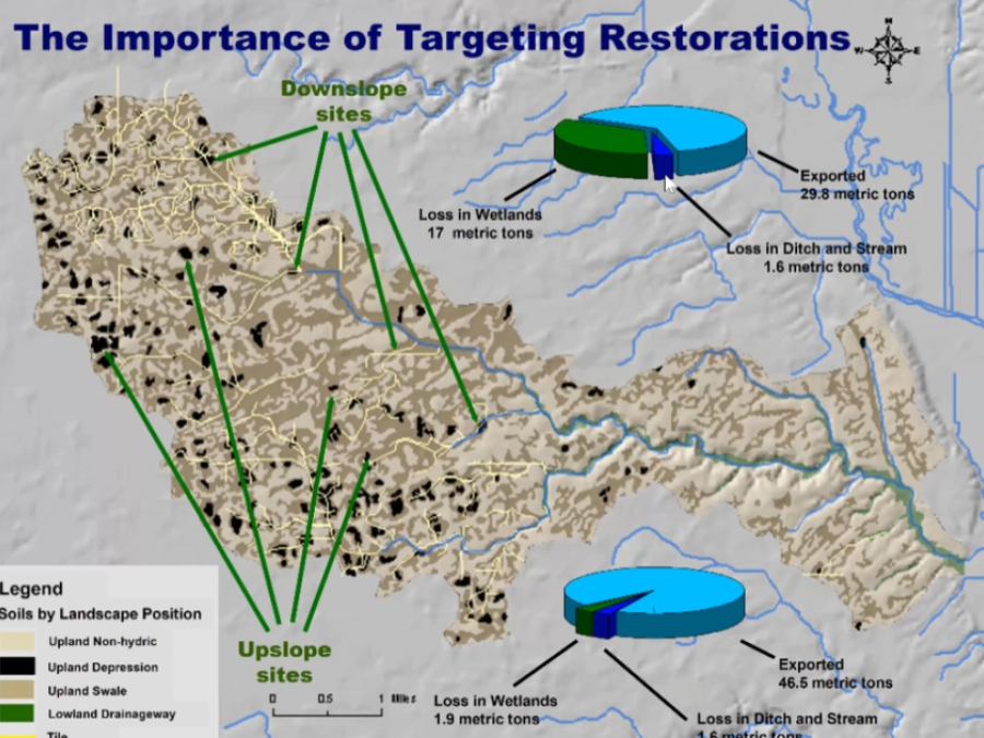 Environmental Performance Of Wetlands Receiving Nps Nutrient Loads