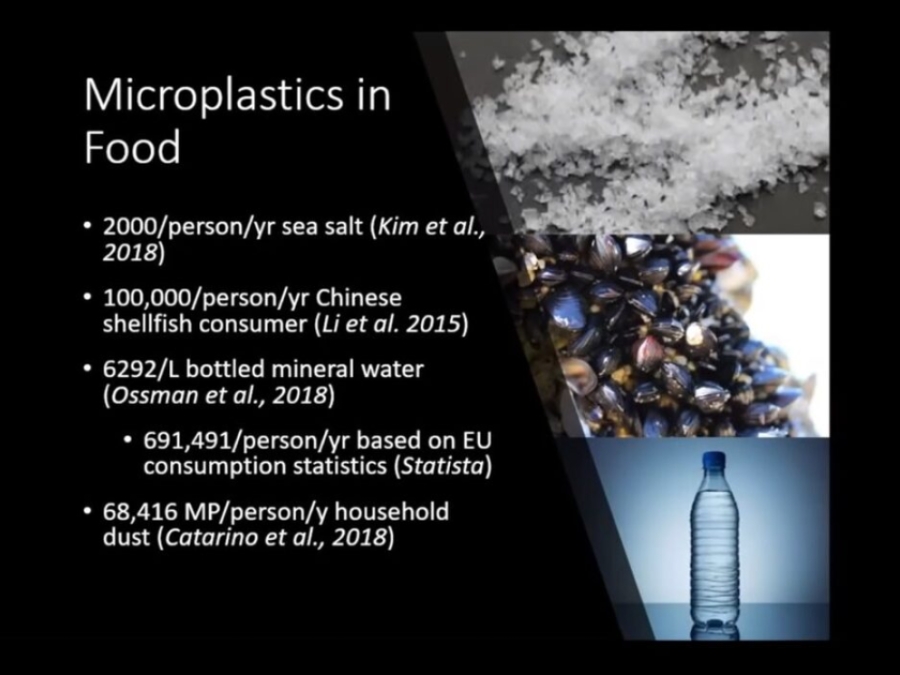 Microplastics: An Emerging Threat To Global Ecology And Public Health