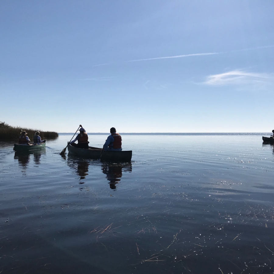 Canoes